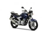 You are currently viewing Yamaha YBR 250 2007