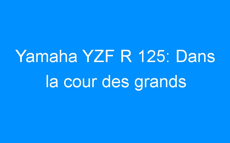 You are currently viewing Yamaha YZF R 125: Dans la cour des grands